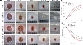 new research on type 2 diabetes