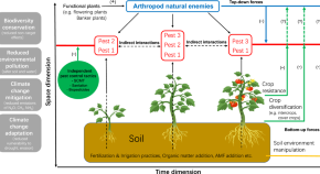 international agricultural research paper