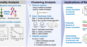 phylogenetic analysis research journal