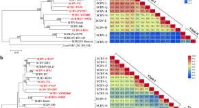 dissertation topics in plant biotechnology