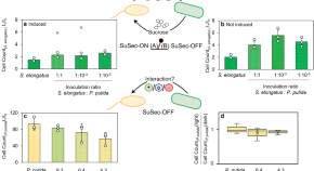 latest research papers in biotechnology