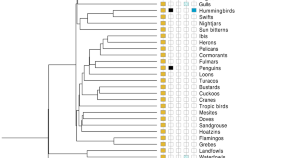 interesting research topics on animals