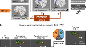 research topics on cognitive psychology