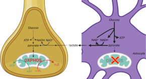 biochemistry research topics for medical students