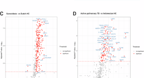 research topics for tuberculosis