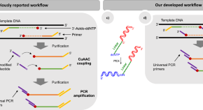 nucleic acid research journal nucleic acid research journal