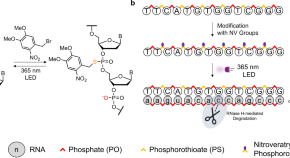 nucleic acid research journal nucleic acid research journal
