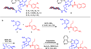 nucleic acid research journal nucleic acid research journal