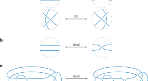 literature review physics