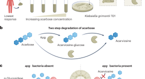 new research in microbiology new research in microbiology