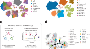 data mining phd research topics