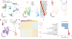 cancer research latest findings