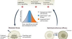 cancer research latest findings