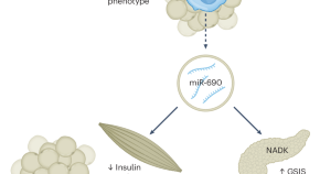 research articles on diabetes mellitus