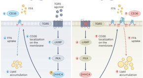 research articles cardiovascular disease