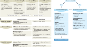 essay on the application of genetic engineering in microbiological practice essay on the application of genetic engineering in microbiological practice