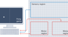 researches on problem solving