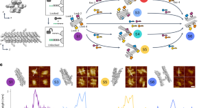 latest research paper on dna computing