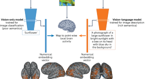 neuroscience research paper ideas