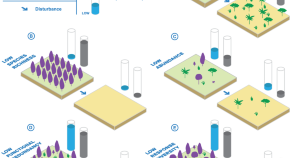 research paper on ecosystem services