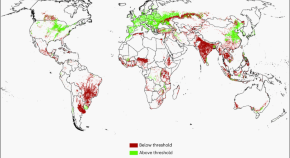 international agricultural research paper