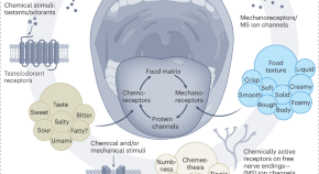 research topics for nutrition and dietetics