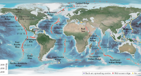 science news article review