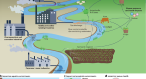 research topics about environmental problems