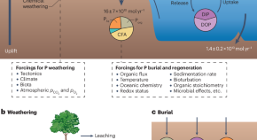 research on marine biology