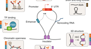 cancer genomics research paper