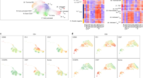 cancer genomics research paper