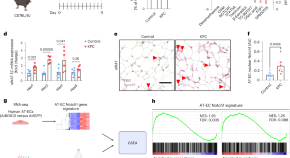 research topics involving cancer