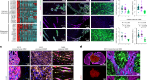 research topics involving cancer