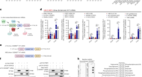 research topics involving cancer