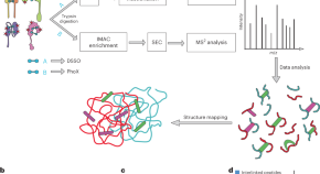 research topics involving cancer