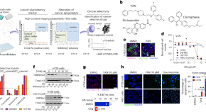 research article on cancer cells