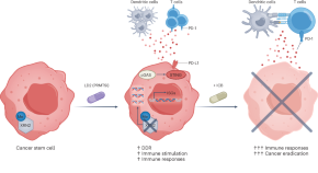 cancer research latest findings