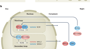 cancer research latest findings