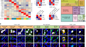 latest research in cancer biology