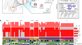 research article on cancer cells