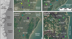 wetland biodiversity research paper