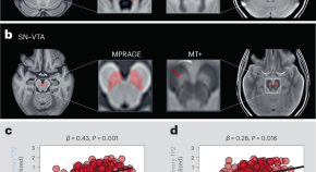 research article about memory