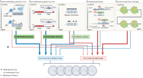 aging research reviews aging research reviews
