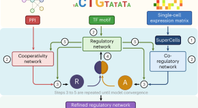 new research in cancer cell