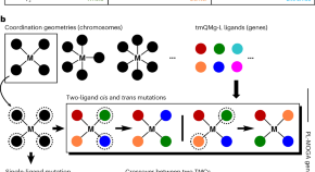 inorganic chemistry research projects