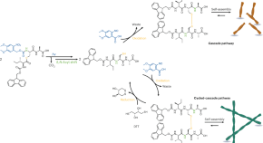 research on peptide synthesis