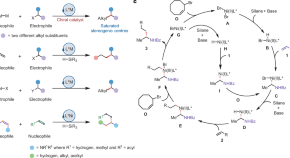 dissertation in organic chemistry