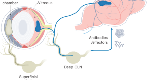 cancer research latest findings