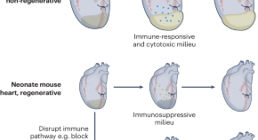 articles about scientific research