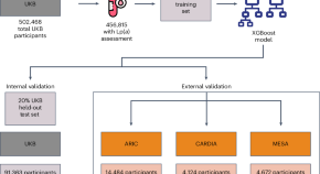 research articles cardiovascular disease